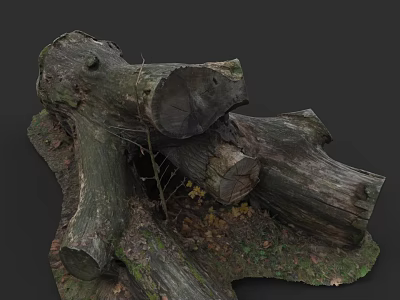 Cut Tree Trunks With Visible Rings Surrounded By Fallen Leaves And Small Branches 3d model