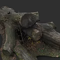 Cut Tree Trunks With Visible Rings Surrounded By Fallen Leaves And Small Branches 3d model