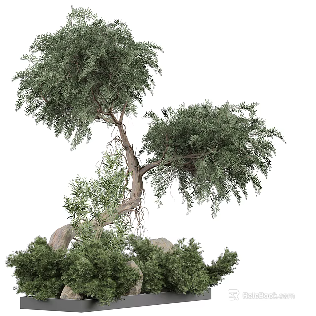 Arbor With Lush Green Foliage And Twisted Trunk Surrounded By Rocks 3d model