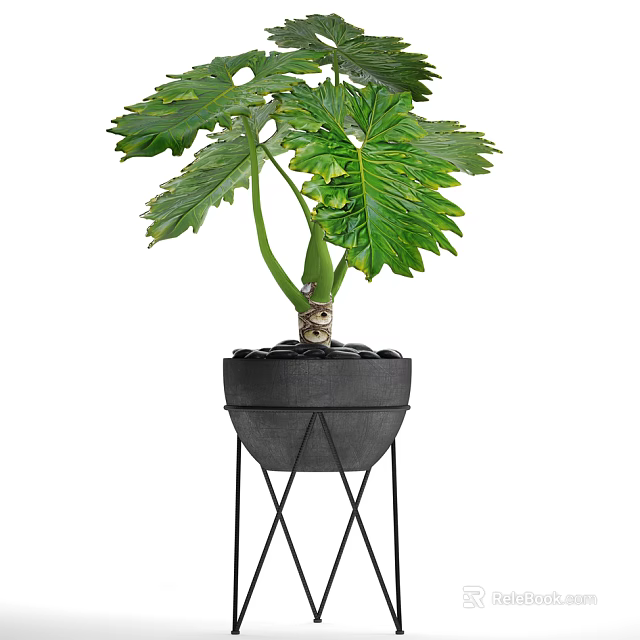 Large Green Leaf Potted Plant with Black Geometric Metal Stand 3d model 