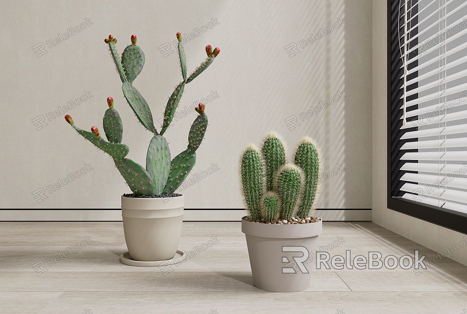 Potted cactus pot picking desert plants model