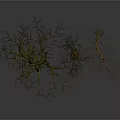 Three Bare Trees Featuring Exposed Roots Against White Background With Ground Reflections