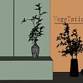 Decorative Marble And Black Vases With Green Leaf Plants And Wall Shadow