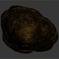 Natural Wood Stone Piece With Textured Surface And Irregular Organic Brown Orange Form