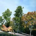 Reptile Lizard Crawling On Tree Trunk With Green And Yellow Leaves Under Blue Sky