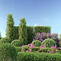 Well Pruned Garden Shrubs With Columnar Rounded Shapes And Purple Pink Flowers Against Blue Sky