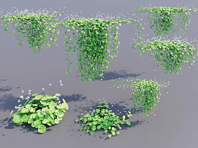 Lush Green Hanging Basket Plants With Trailing Vines And Small White Flowers 3d model