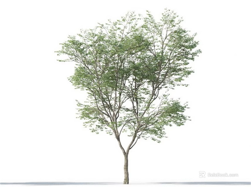 Lush Green Arbor With Dense Foliage And Strong Trunk In Natural Environment 3d model 