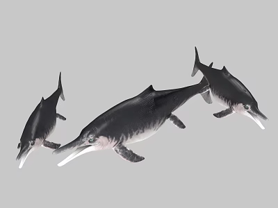 Aquarium Aquatic Display With Three Black Long Snout Marine Creatures Swimming 3d model
