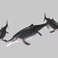 Aquarium Aquatic Display With Three Black Long Snout Marine Creatures Swimming