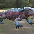 Colorful Red and Blue Iguana Reptile With Spiked Back In Natural Grass Habitat