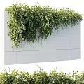 Lush Green Vines Decorating White Wall And Natural Foliage