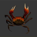 Vibrant Red Clawed Crab With Brown Body And Detailed Exoskeleton Close Up