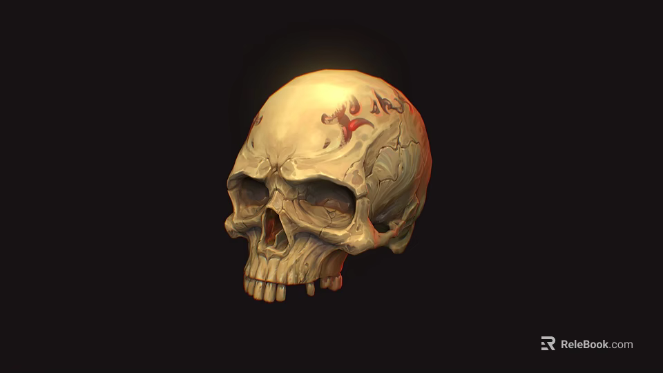 Human Skull Anatomical Model Medical Device with Detailed Markings for Educational Use 3d model 