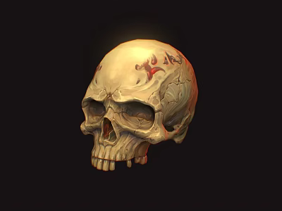 Human Skull Anatomical Model Medical Device with Detailed Markings for Educational Use 3d model