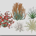 Various Red Blue White And Beige Flowering Plants With Spike Blooms And Green Leaves
