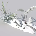 Lush Natural Snow Covered Rock with Diverse Ferns and Herbaceous Plants