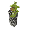 Indoor Decorative Bonsai Plant With Lush Green Foliage On Marble Pedestal
