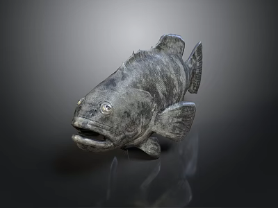 Realistic Gray Fish Sculpture With Detailed Texture On Dark Reflective Surface 3d model
