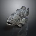 Realistic Gray Fish Sculpture With Detailed Texture On Dark Reflective Surface