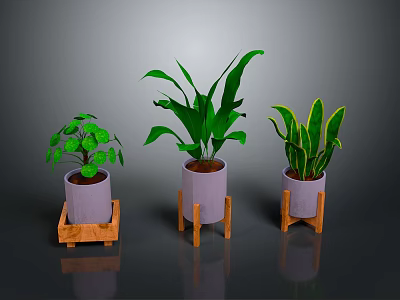 Indoor Green Plants in Purple Pots on Wooden Stands with Various Leaf Shapes 3d model