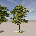 Arbor With Green Leaves In Daytime And String Lights At Night On Base Platform 3d model