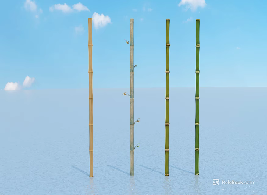 Different Colored Bamboo Plants Standing On Light Surface With Blue Sky And White Clouds 3d model 