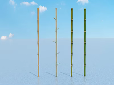 Different Colored Bamboo Plants Standing On Light Surface With Blue Sky And White Clouds 3d model