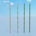 Different Colored Bamboo Plants Standing On Light Surface With Blue Sky And White Clouds