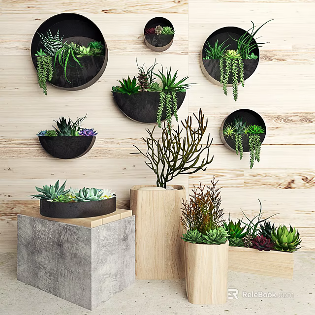 Potted Plants with Succulents Hanging Varieties in Hanging Wall Concrete and Wooden Pots on Wooden Background 3d model 