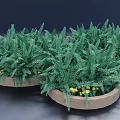 Bonsai Potted Plants with Green Ferns in Light Brown Round Pots and Yellow Flowers