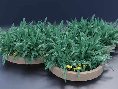 Bonsai Potted Plants with Green Ferns in Light Brown Round Pots and Yellow Flowers 3d model