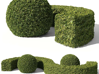 Well Trimmed Garden Shrubs With Spherical Cubical And Curved Shapes For Landscaping 3d model