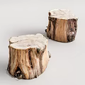 Rustic Natural Wood Tree Stump Shaped Stools With Organic Texture And Smooth Top