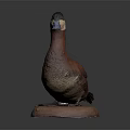 Detailed Duck Taxidermy Mount On Brown Base With Dark Background