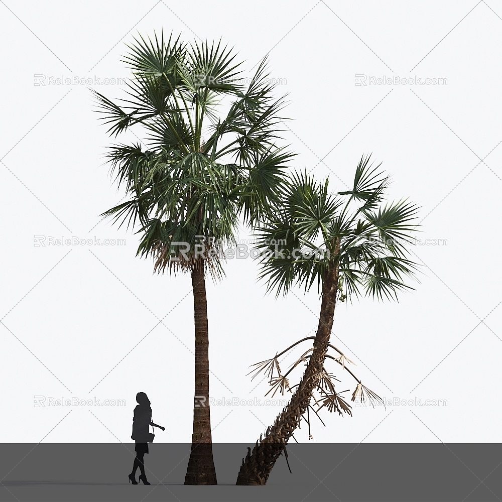 Modern Palm Tree 3d model