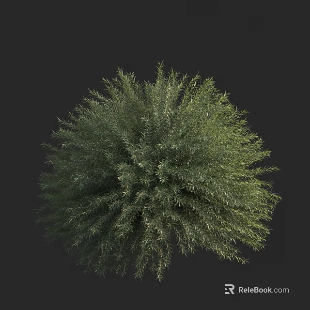 Green Round Arbor With Lush Dense Foliage On Black Background 3d model