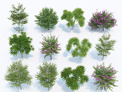 Various Arbor Trees With Different Green Foliage And Purple Flowers 3d model