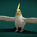 Modern Xuan Feng Parrot 3d model