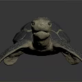 Modern Turtle Little Turtle Sea Turtle 3d model
