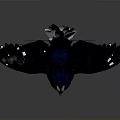 Dark blue bird with spread wings white spots white eye rings and white feet