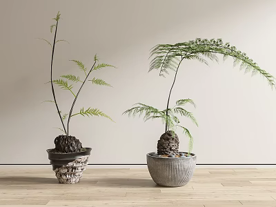 Two Green Bonsai Plants in Textured and Grey Ceramic Pots on Wooden Floor 3d model