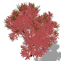 Lush Arbor With Vibrant Red Foliage Black Trunk And Shadowy Ground 3d model