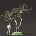 Artistic Bonsai Tree With Twisted Trunk Sparse Branches And Green Plants At Base 3d model