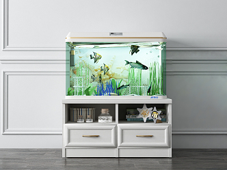 Jane Ou Fish Tank 3d model