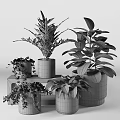 Various Potted Plants With Green Leaves In Ceramic Copper And Concrete Pots