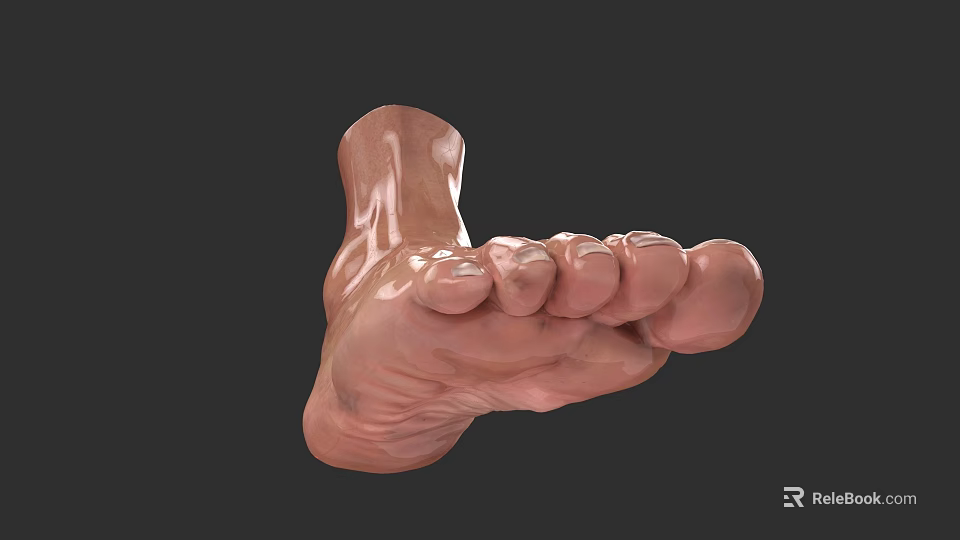Realistic 3D Rendering of Human Foot with Toes and Sole on Dark Background 3d model 
