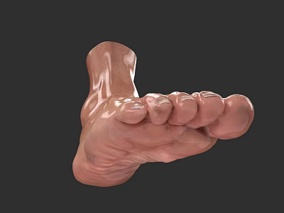 Realistic 3D Rendering of Human Foot with Toes and Sole on Dark Background 3d model