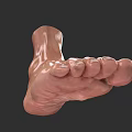 Realistic 3D Rendering of Human Foot with Toes and Sole on Dark Background