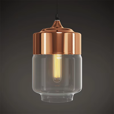 Modern Copper Top Pendant Light With Transparent Glass Shade And Warm Light Bulb 3d model